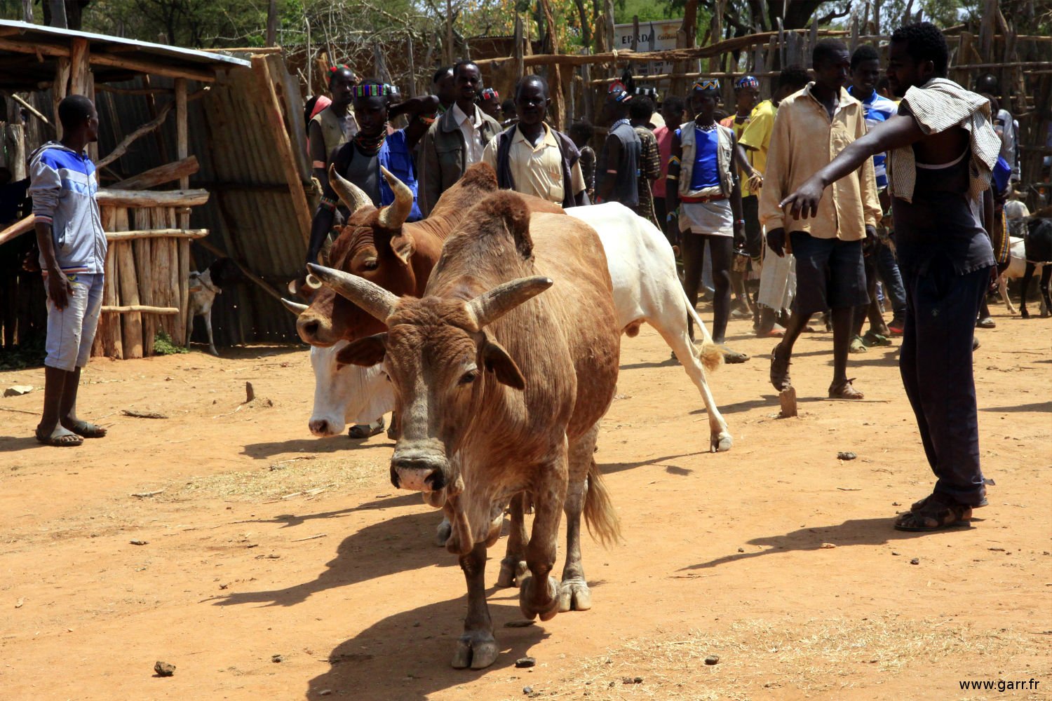 ethiopie-key_afer-13-www-garr-fr ethiopie-key_afer-13-www-garr-fr