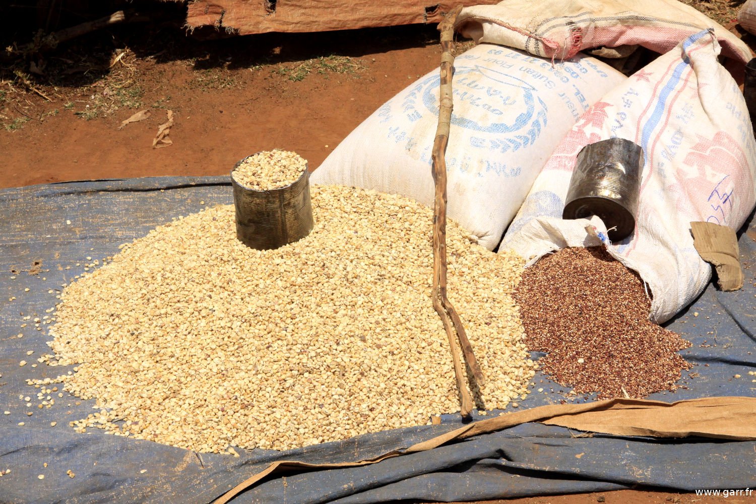 ethiopie-key_afer-40-www-garr_-fr_ ethiopie-key_afer-40-www-garr_-fr_